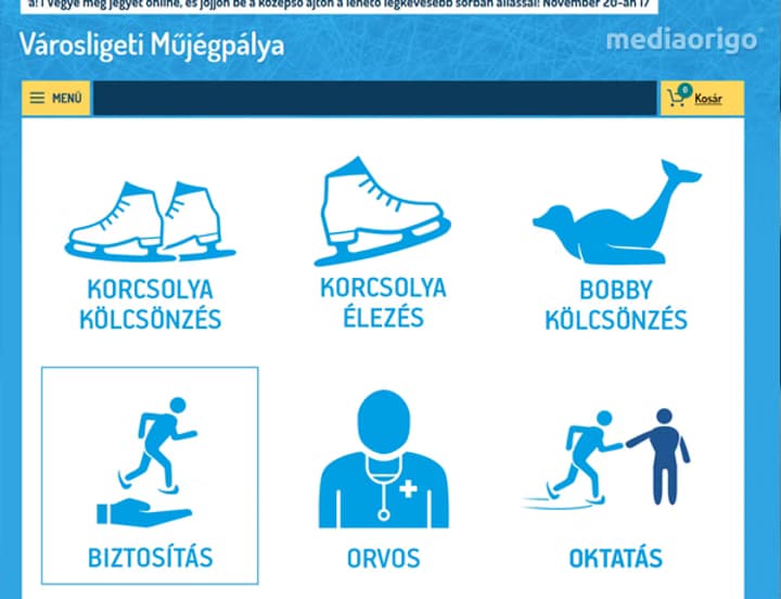 Fővárosi Műjégpálya — weboldal, arculat, ügyvitel és belső informatikai rendszer