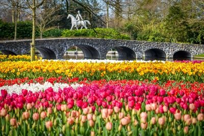 Keukenhof virágpark